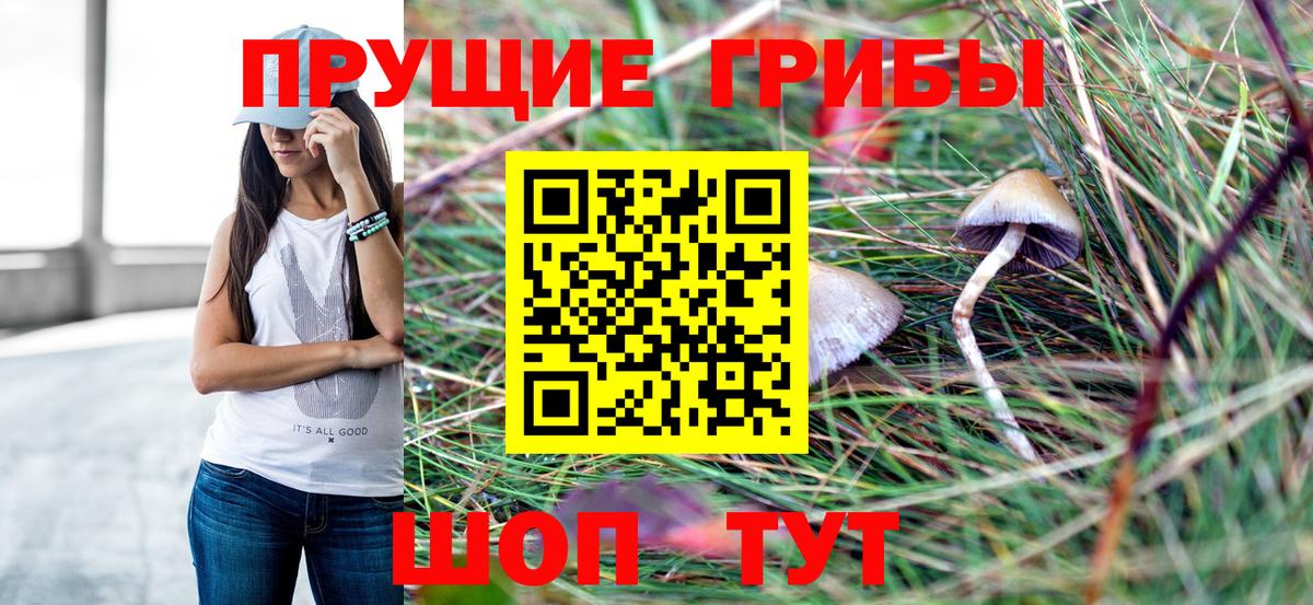 Псилоцибиновые грибы ЛСД Коммунар